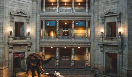 Smithsonian Museum Day September 17th, 2022..fun-in-michigan