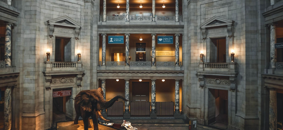 Smithsonian Museum Day September 17th, 2022..fun-in-michigan