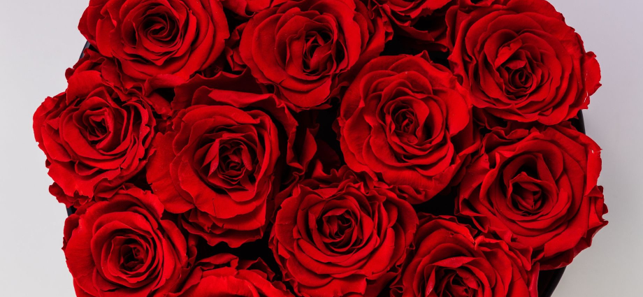 23 Best Valentine's Day Flowers to Express Your Love and Affection.fun-in-michigan