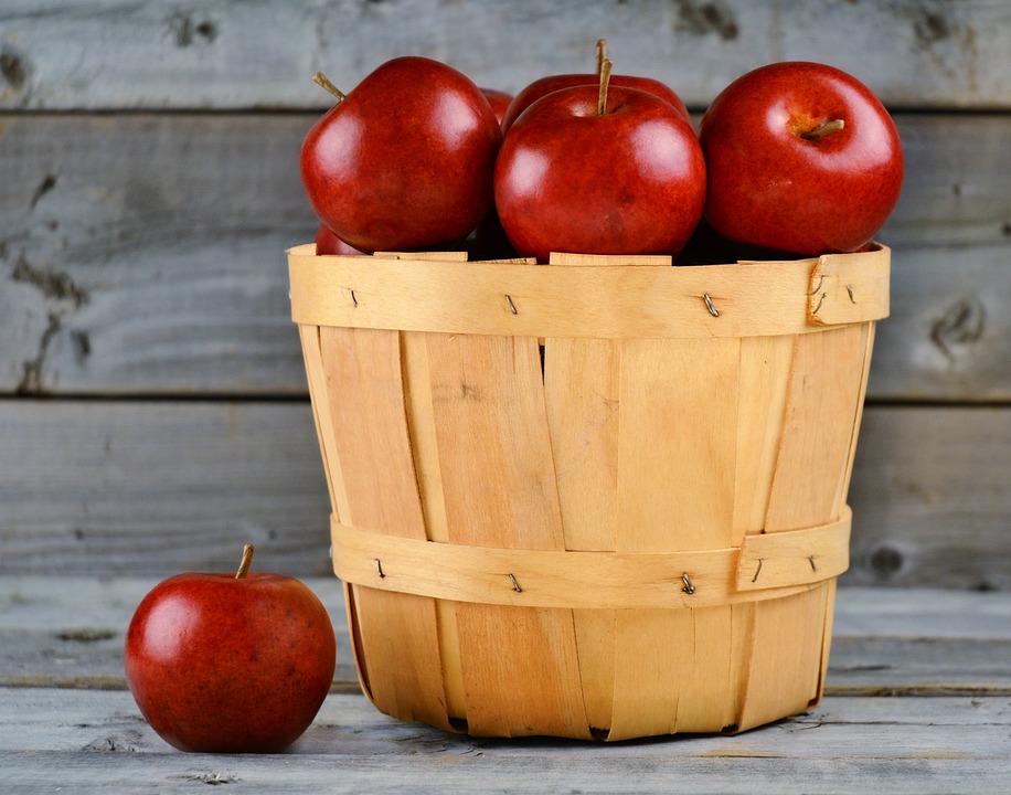 Get ready for a fun and delicious fall apple picking experience at the best orchards in Michigan. Check out our top 10 recommendations Fun In Michigan