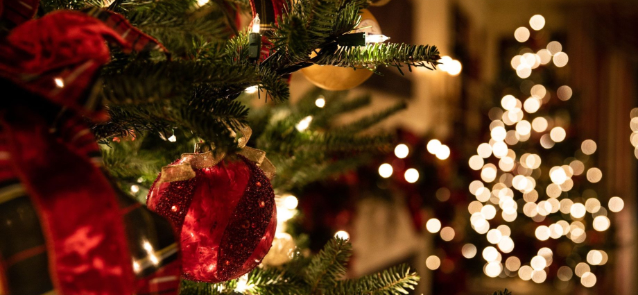 25 Christmas Things to Do in Michigan 2023 for an unforgettable holiday season.