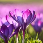 Best Michigan Spring Break Spots: Top Destinations for a Memorable Getaway