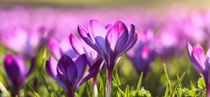 Best Michigan Spring Break Spots: Top Destinations for a Memorable Getaway