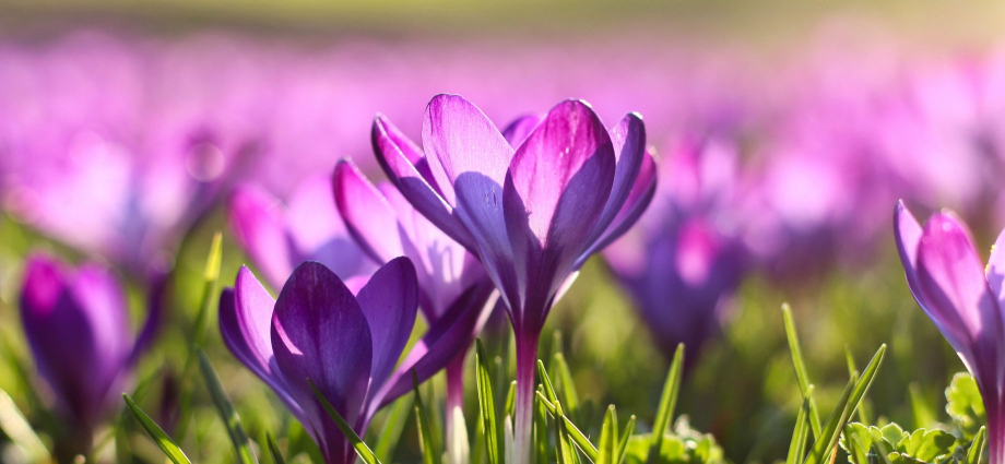 Best Michigan Spring Break Spots: Top Destinations for a Memorable Getaway