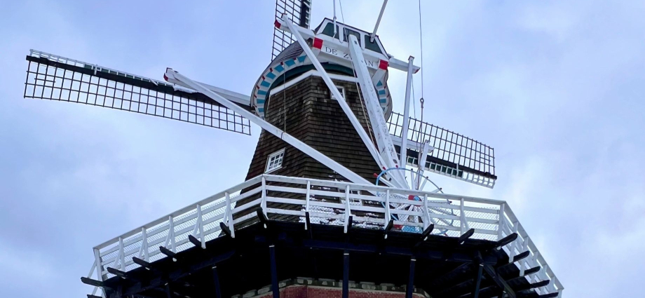 Holland Michigan Dutch community tulip fields and windmill at Windmill Island Gardensfun-in-michigan