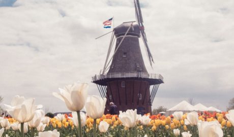 Holland Michigan Has the Largest Dutch Community Outside Netherlands FunInMichigan.comfun-in-michigan
