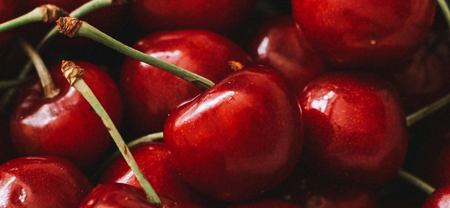 Michigan Tart Cherry Capital: Why Michigan Produces 70 Percent of America's Tart Cherries
