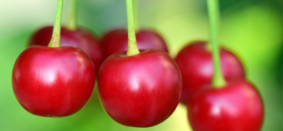 National Cherry Festival 2026 in Michigan along Grand Traverse Bay.fun-in-michigan