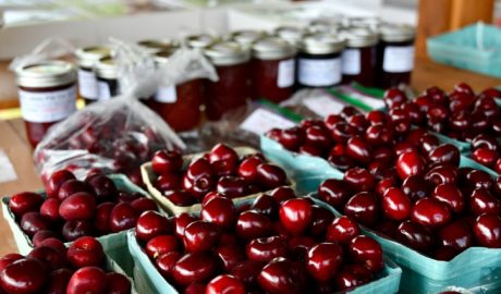 National Cherry Festival Traverse City Complete 2026 Guide