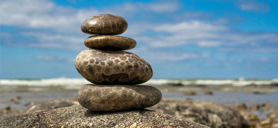 Only Michigan The Petoskey Stone Is Found Nowhere Else on Earth fun-in-michigan