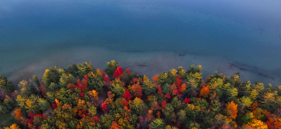 The western shore of the Lower Peninsula faces Lake Michigan, and this is where you'll find the iconic dune country,