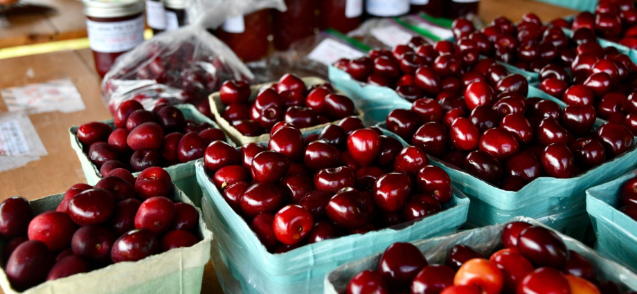 Things to Do in Traverse City Michigan _ 2026 Guide Cherry FunInMichgan.comfun-in-michigan